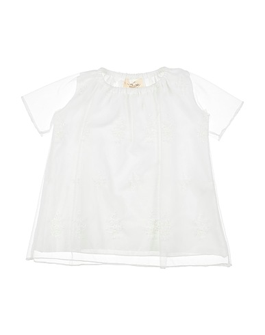 OLIVE by SISCO