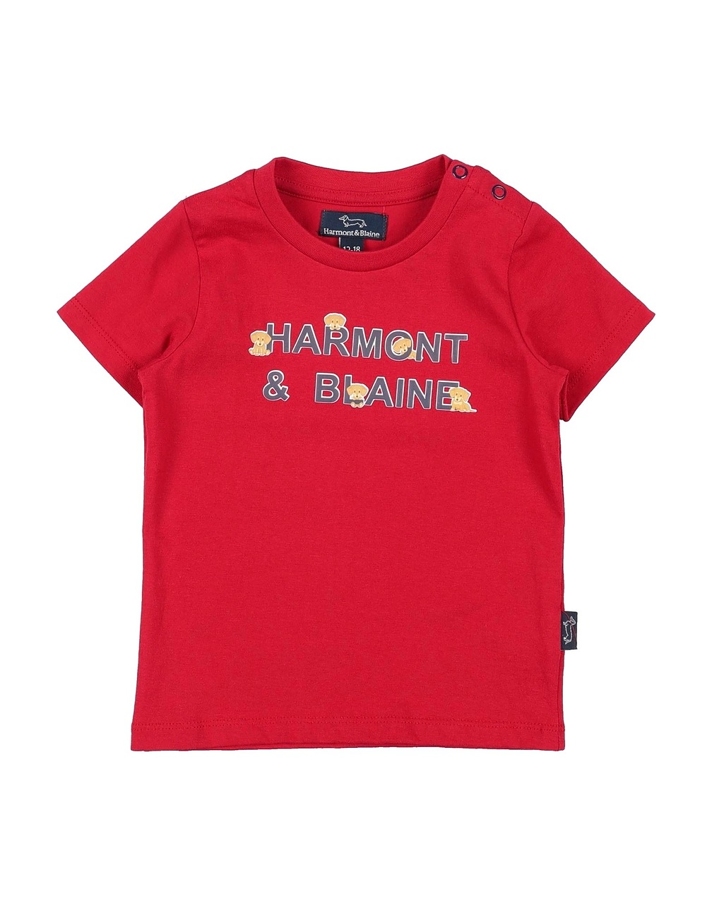 HARMONT & BLAINE - T-shirts