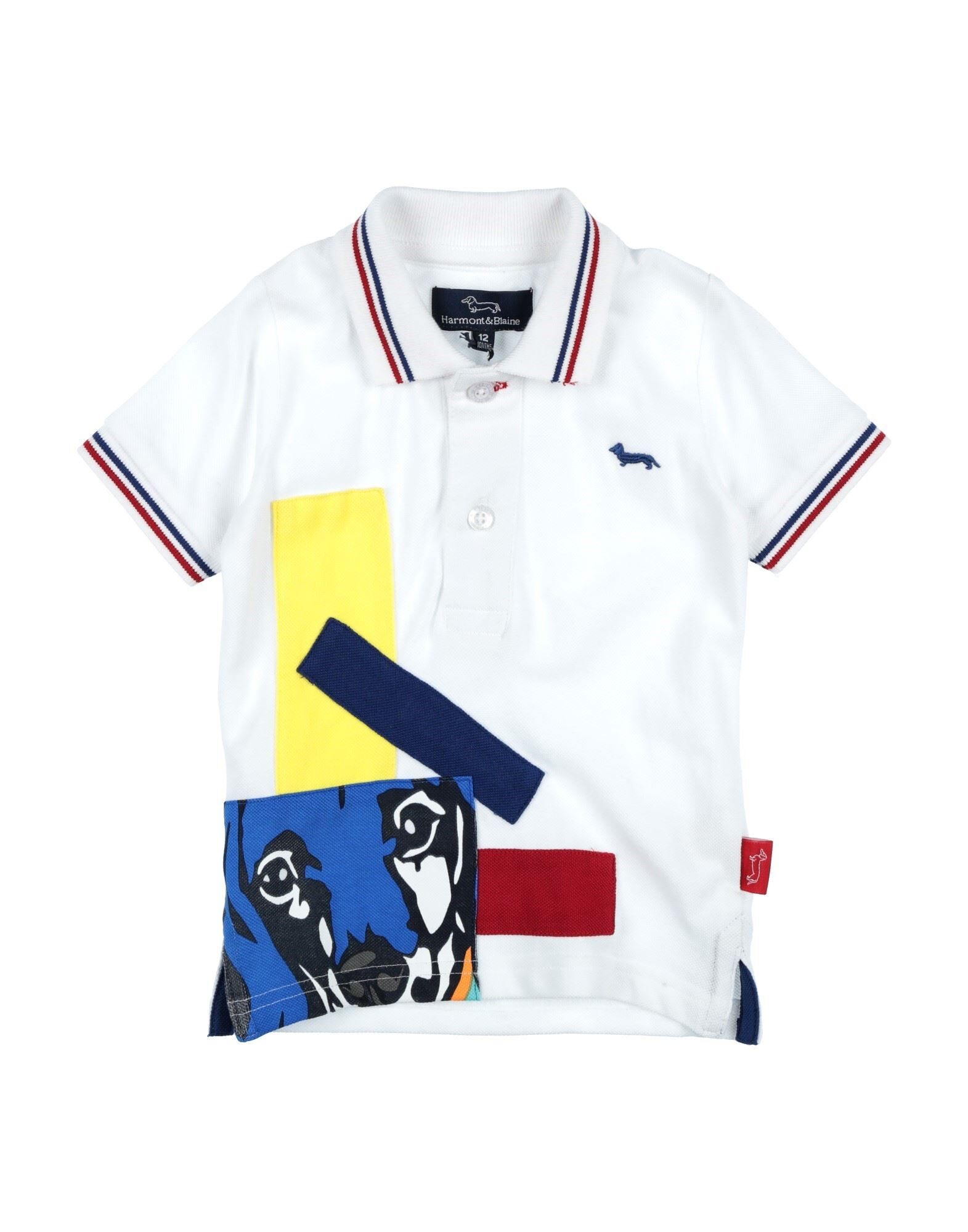 HARMONT & BLAINE - Polo shirts