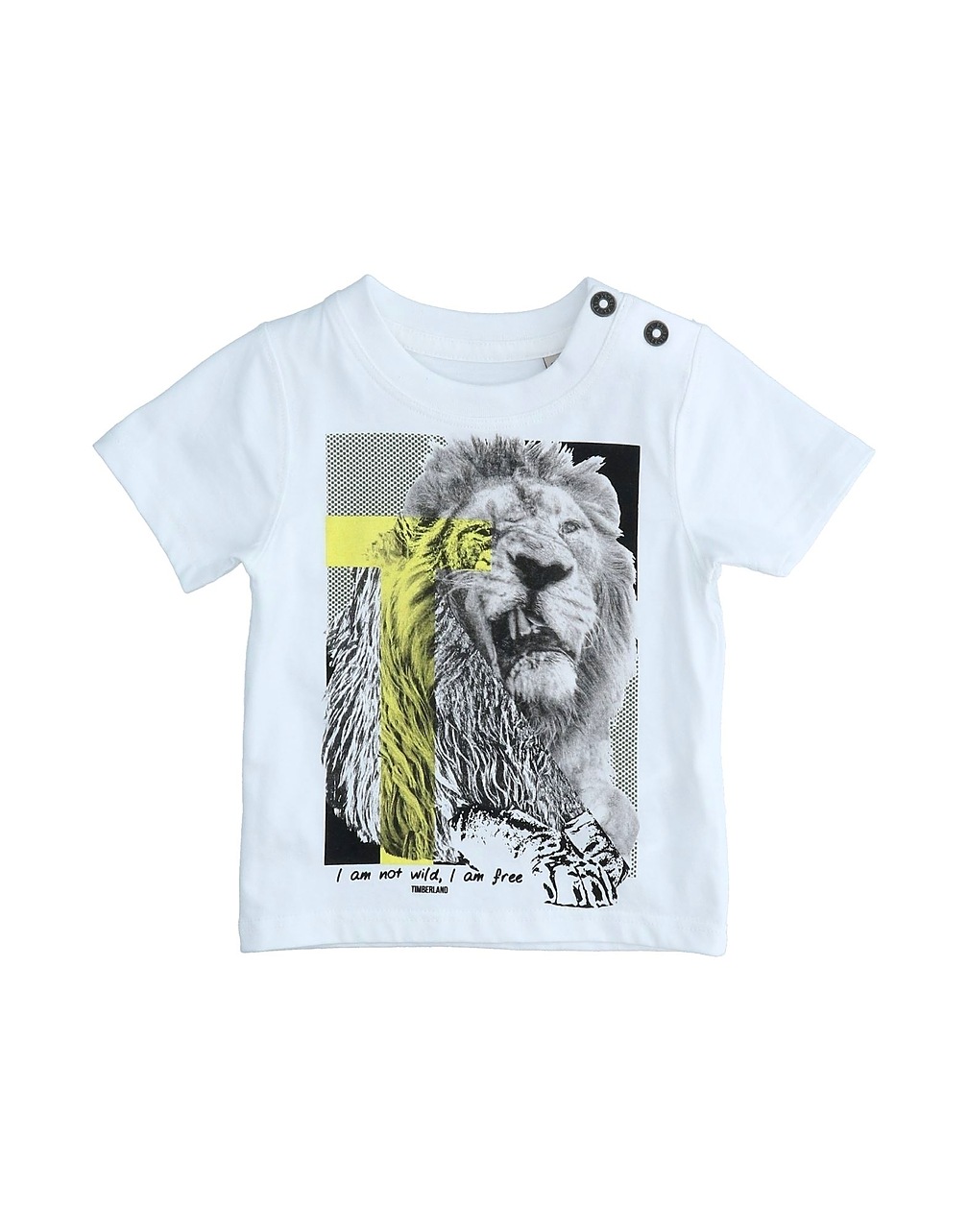 TIMBERLAND - T-shirts