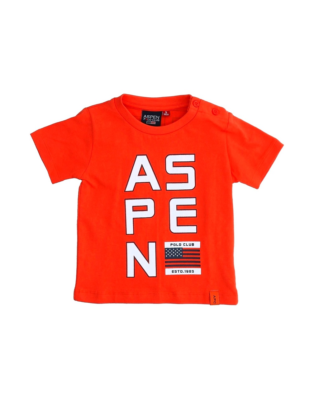 ASPEN POLO CLUB - T-shirts