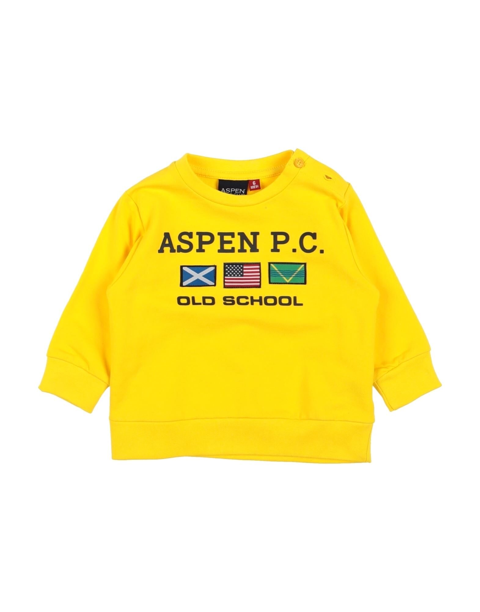 ASPEN POLO CLUB - Felpe