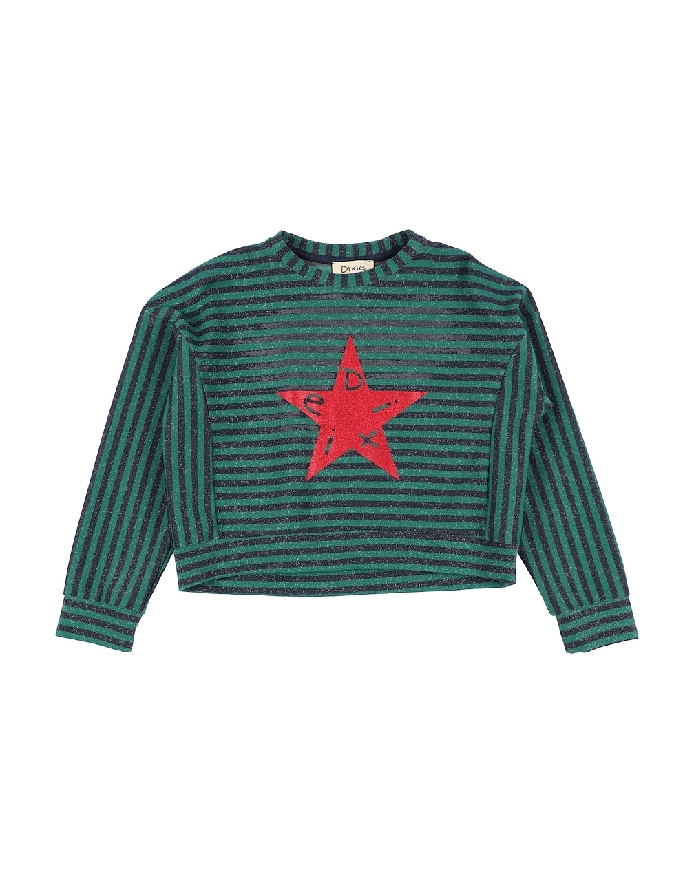 DIXIE - Sweatshirts
