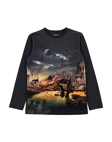 MOLO Sweatshirt Lead 100% Organic cotton