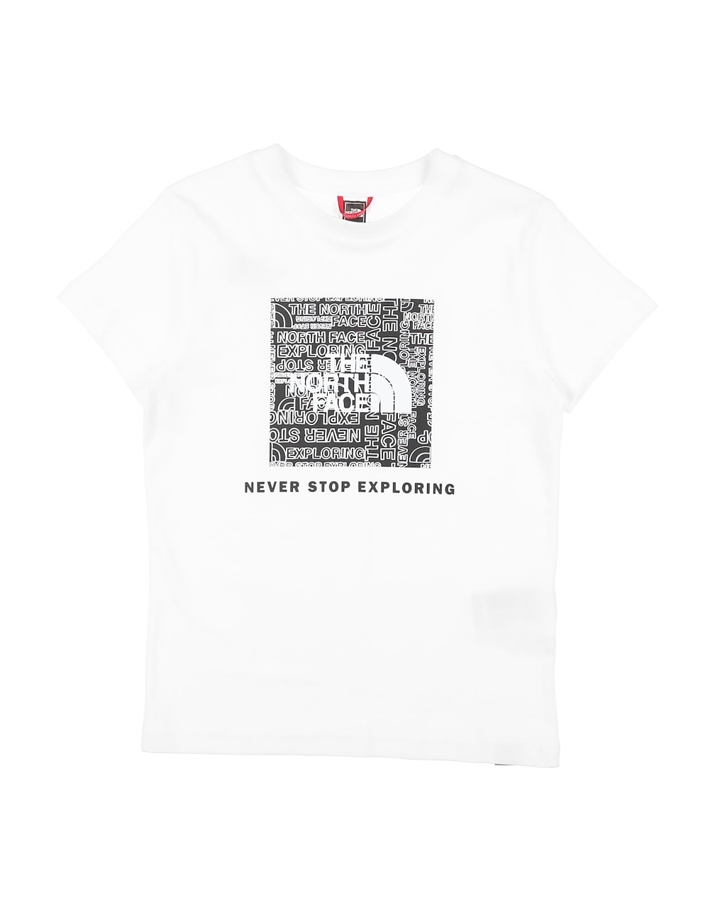 THE NORTH FACE - T-shirts
