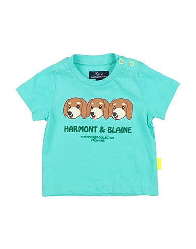 HARMONT & BLAINE T-shirt Turquoise 100% Cotton