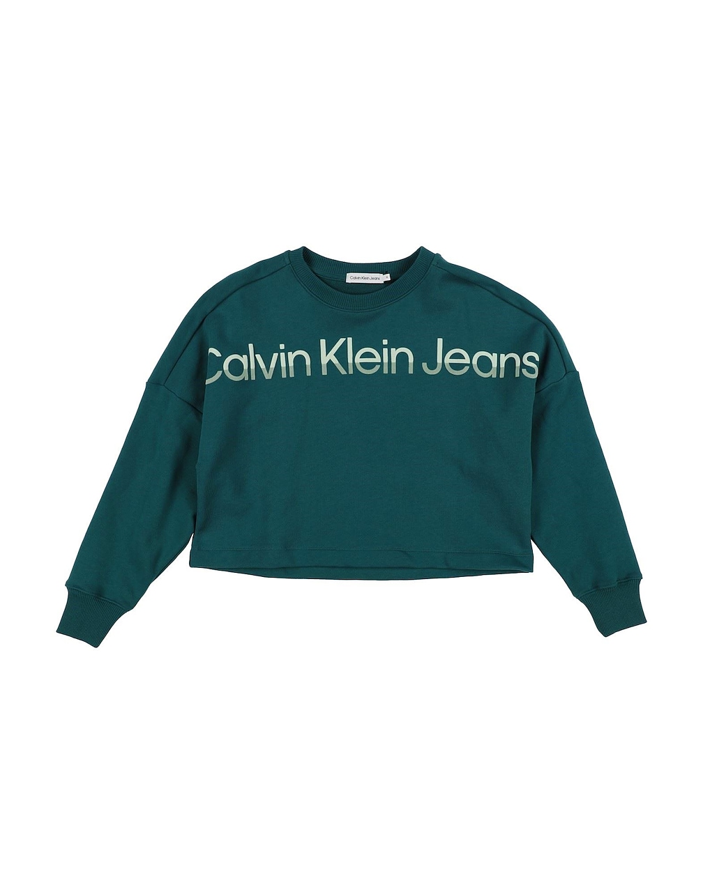 CALVIN KLEIN JEANS - Sudaderas