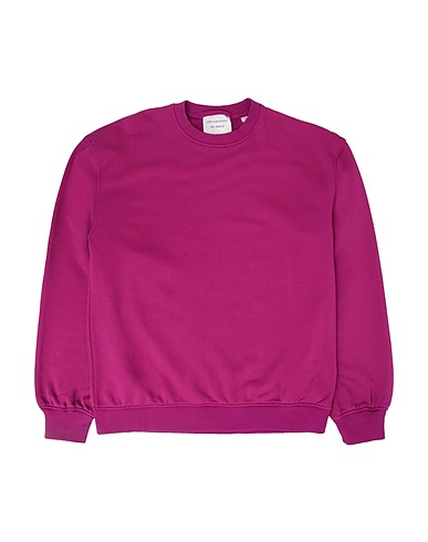 LES COYOTES DE PARIS Sweatshirt Magenta 80% Baumwolle, 20% Polyester