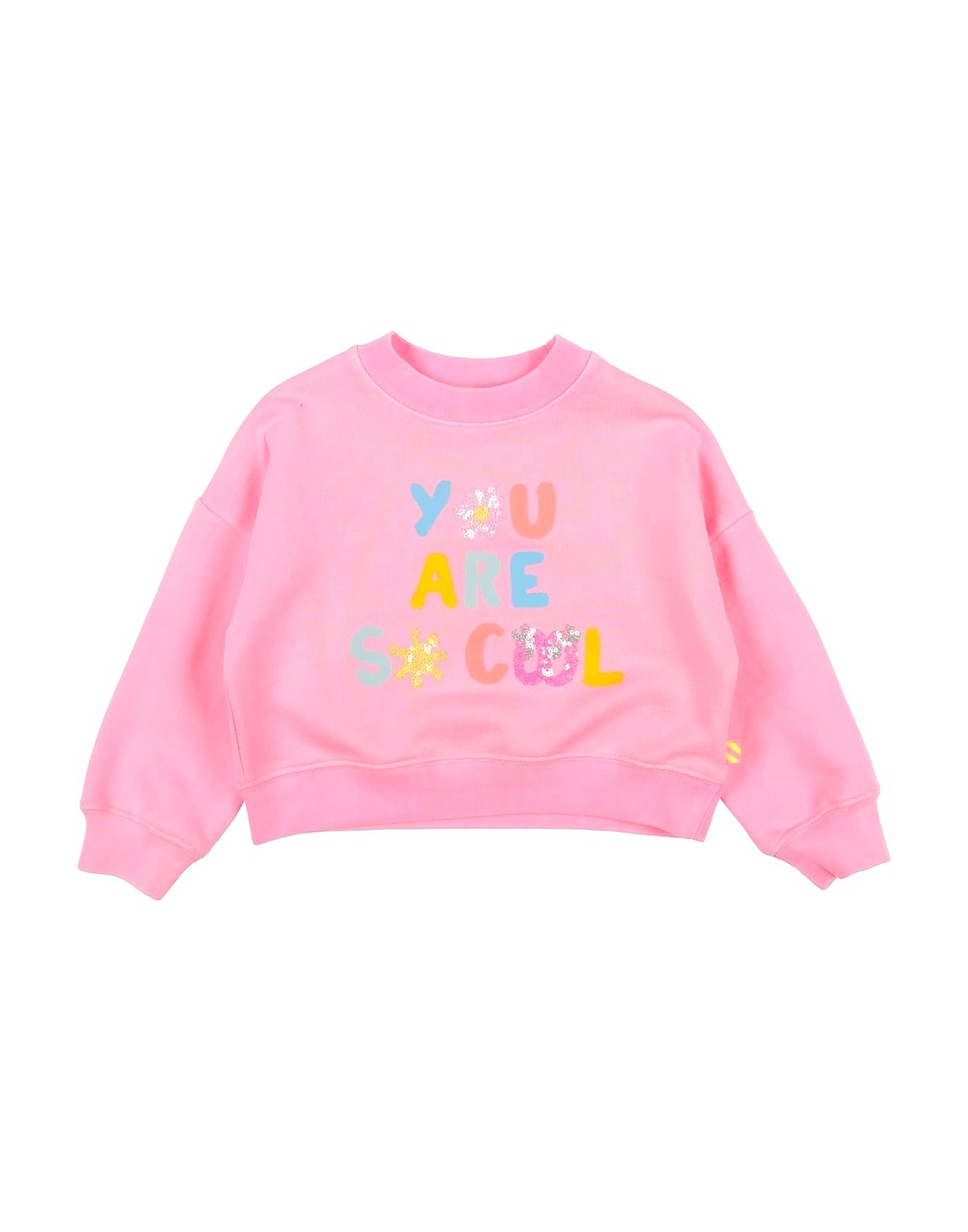 BILLIEBLUSH - Sweatshirts