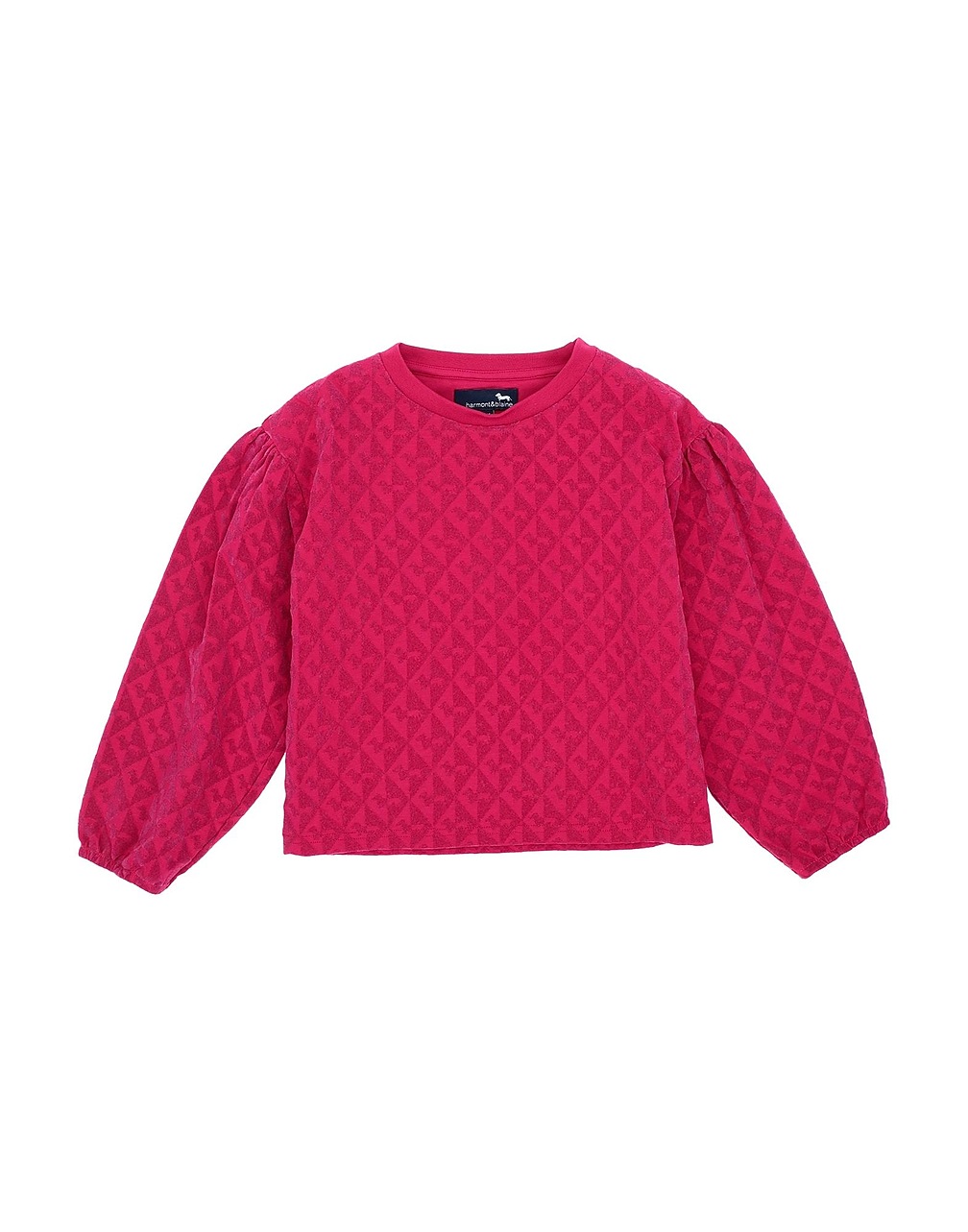 HARMONT & BLAINE - T-shirts