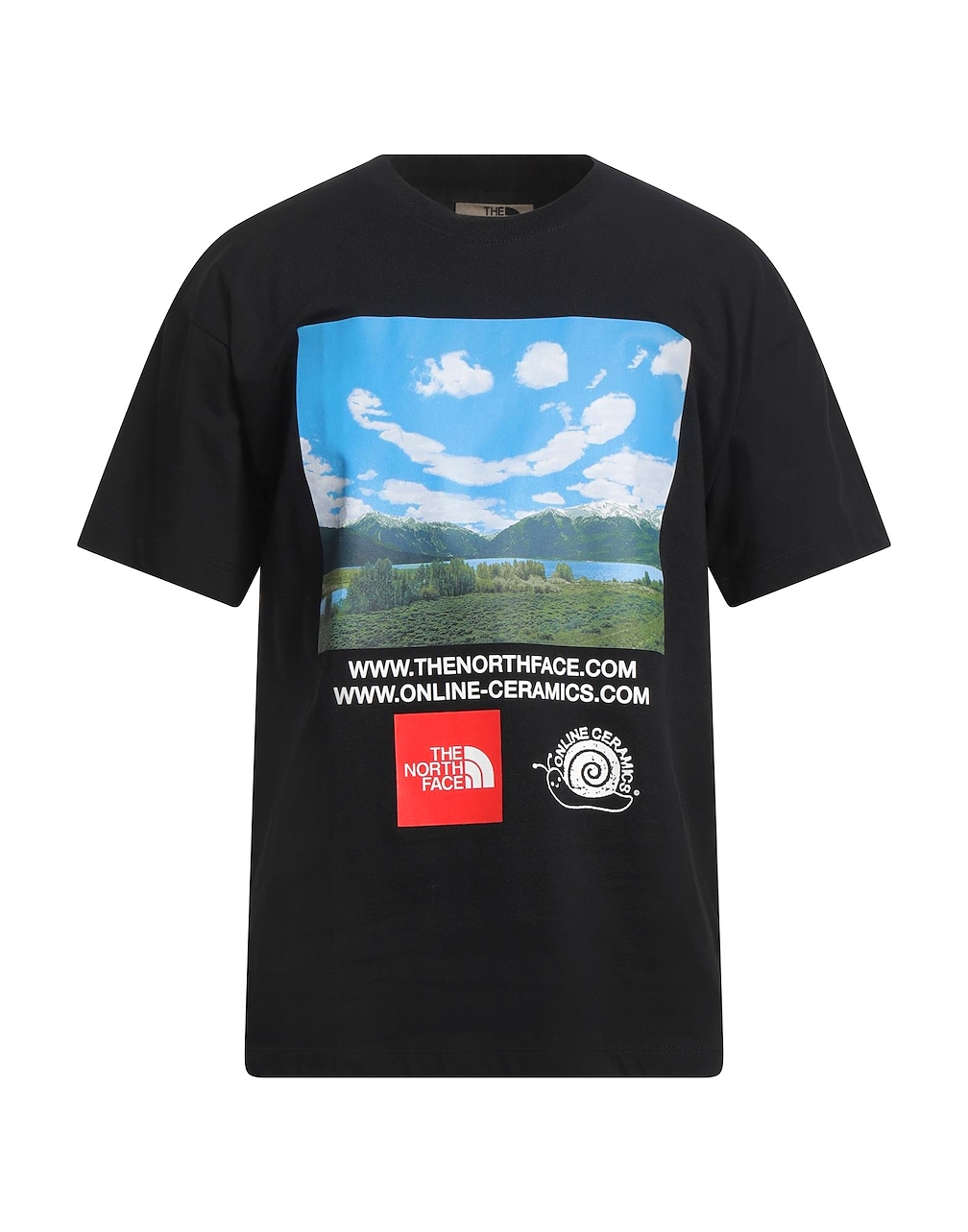 THE NORTH FACE - T-shirts