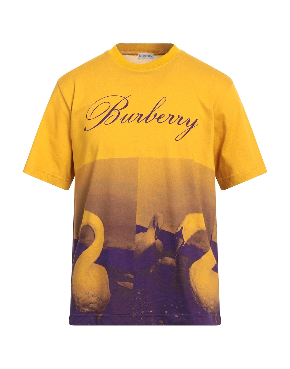 BURBERRY - T-shirts