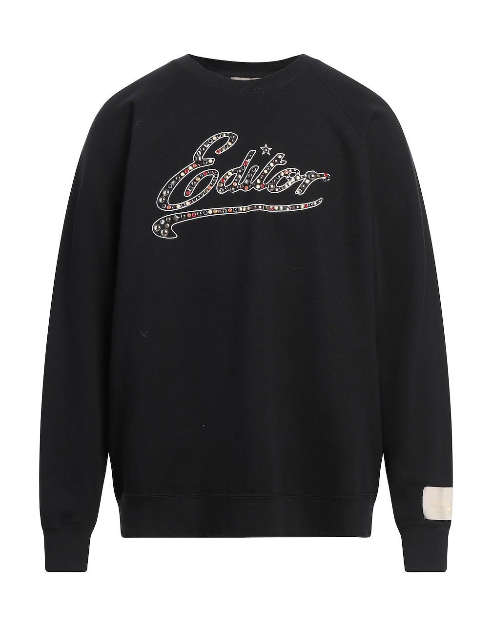 THE EDITOR - Sweatshirts