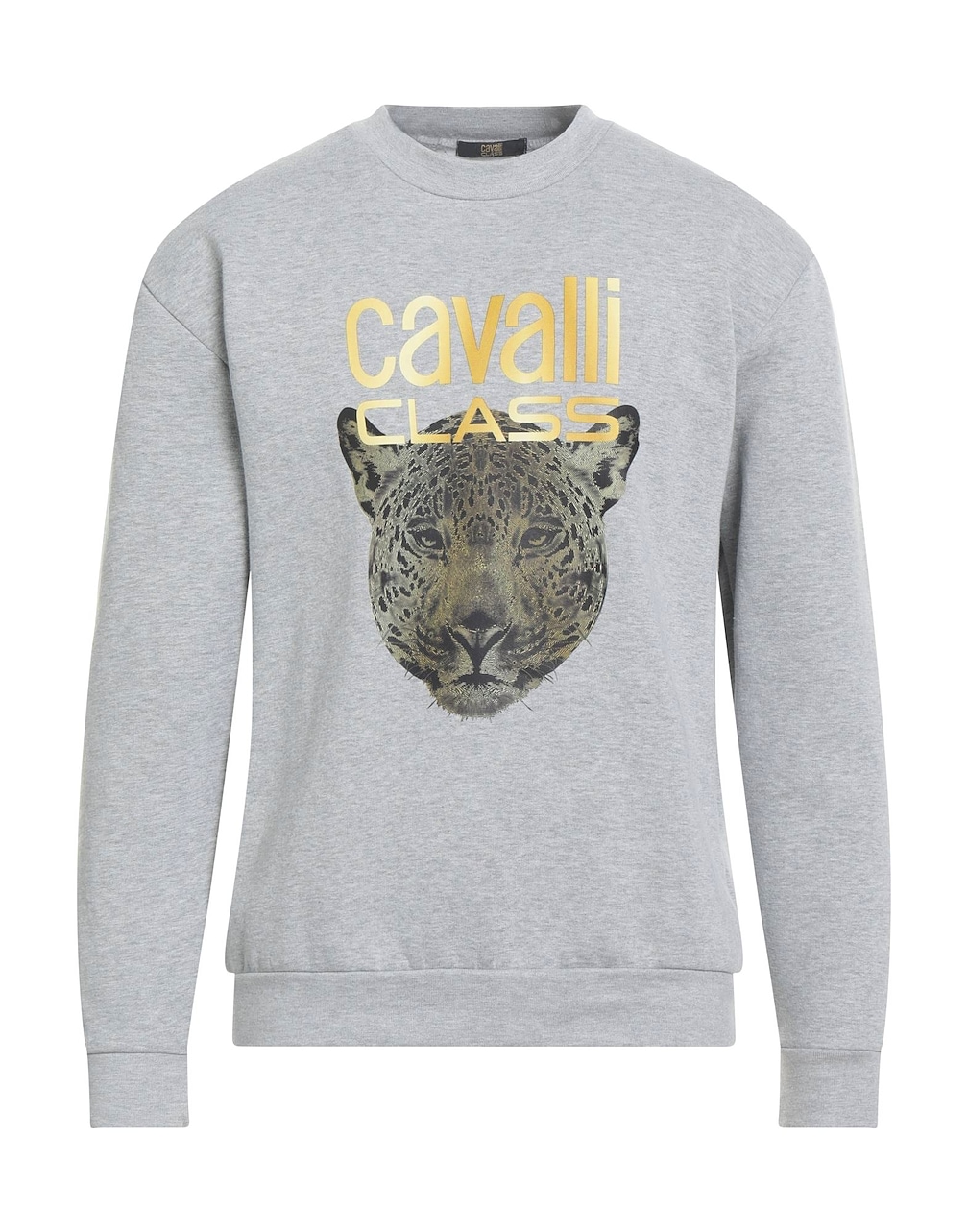 CAVALLI CLASS - Толстовки