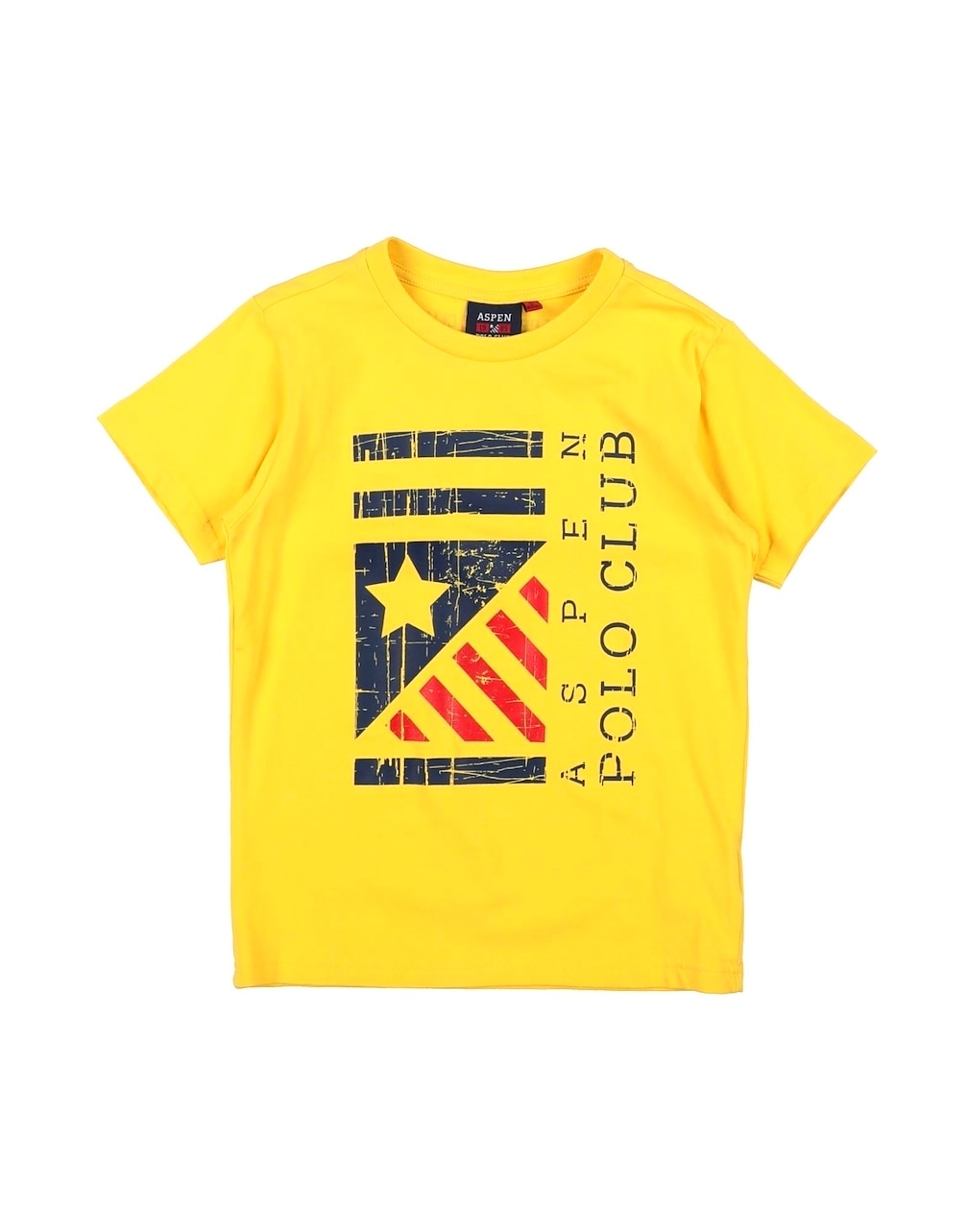 ASPEN POLO CLUB - T-shirts
