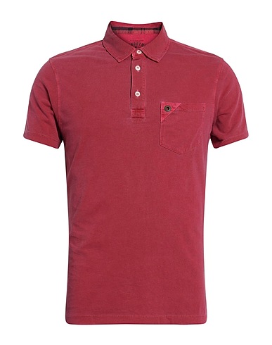 BARBOUR Polo shirt Mauve 100% Cotton
