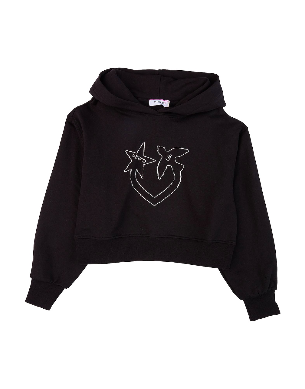 PINKO UP - Sweatshirts
