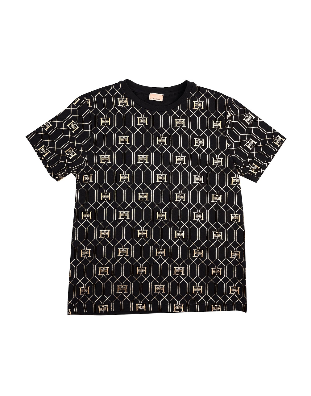 ELISABETTA FRANCHI - T-shirts