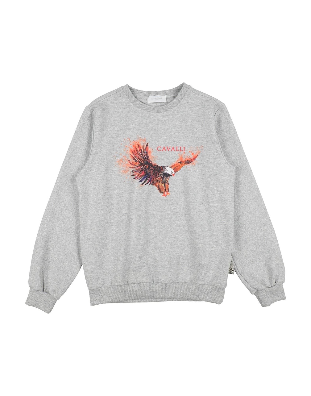 ROBERTO CAVALLI - Sweatshirts