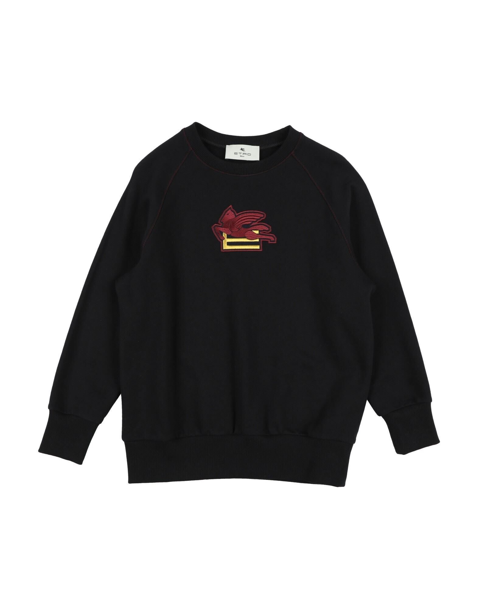 ETRO - スウェットシャツ