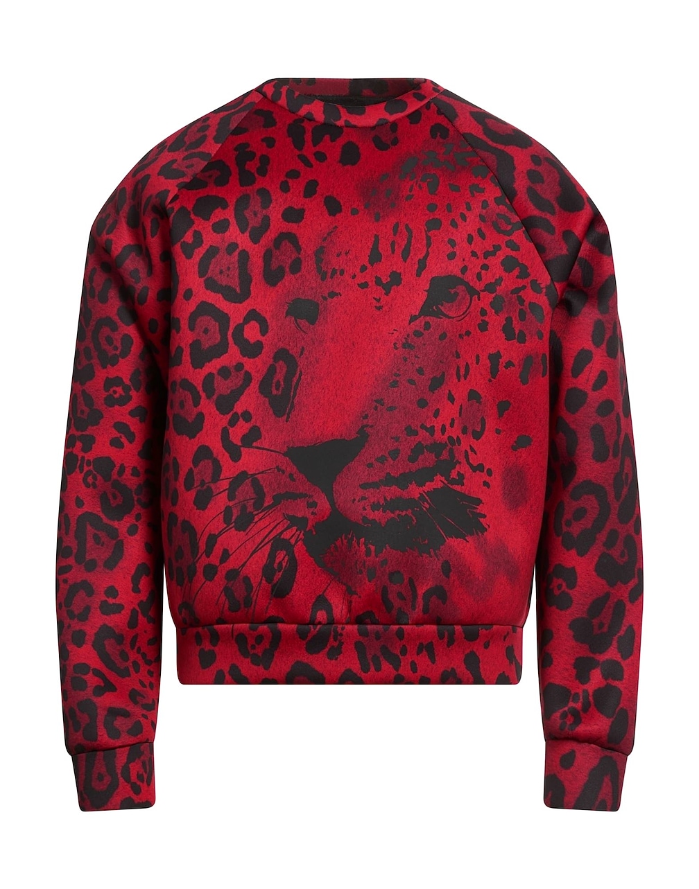 DOLCE&GABBANA - Sweatshirts