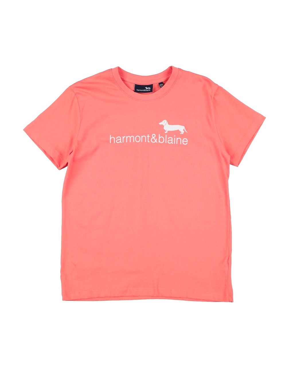 HARMONT & BLAINE - T-shirts