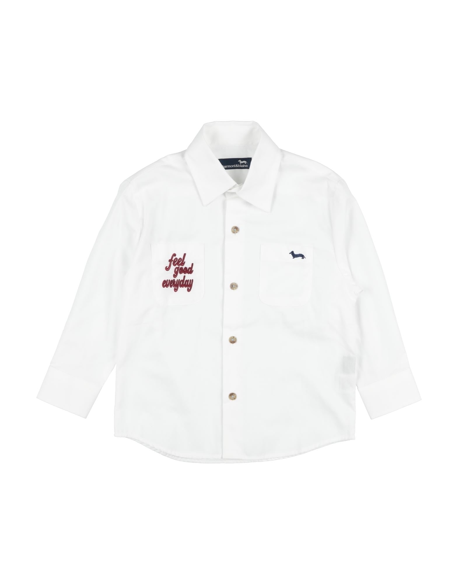 HARMONT & BLAINE - Рубашки 