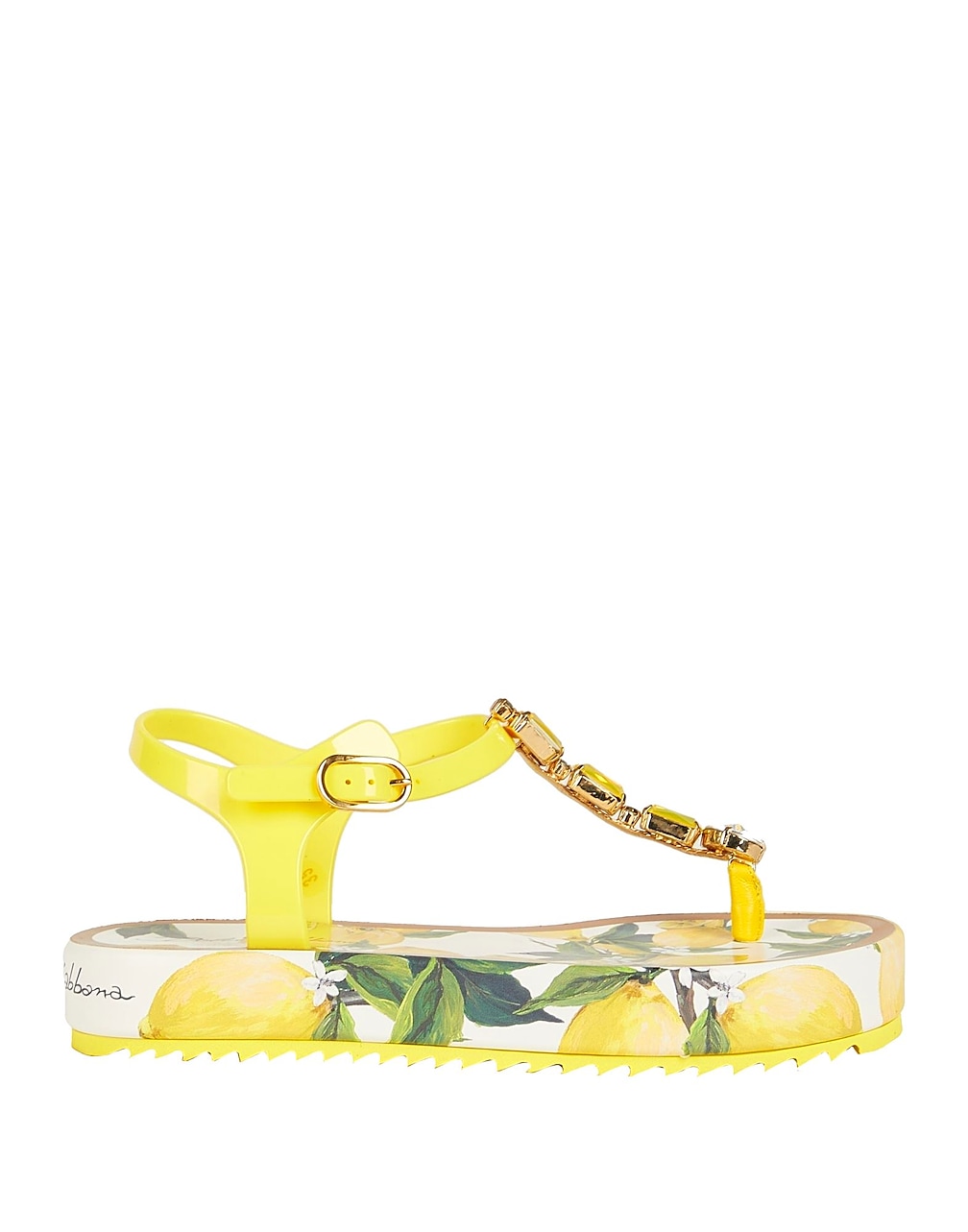 DOLCE&GABBANA - Thong sandals