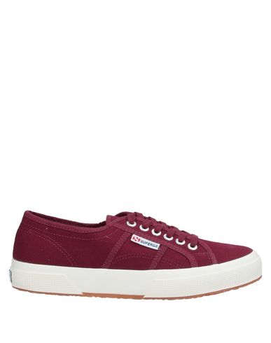maroon superga sneakers