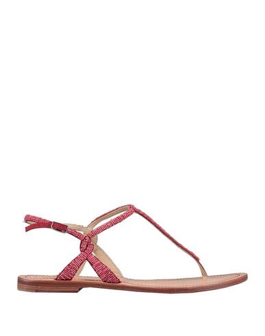 Maliparmi Toe Strap Sandals In Fuchsia