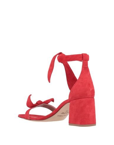 GIANNA MELIANI Sandals,11397537FQ 8