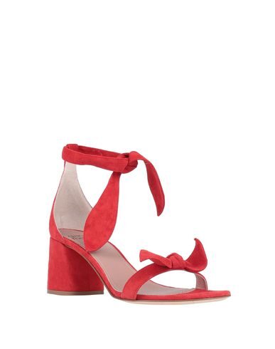 GIANNA MELIANI Sandals,11397537FQ 8
