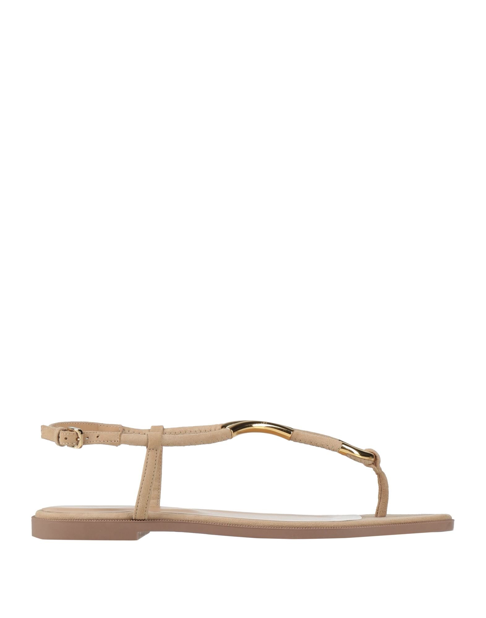 SERGIO ROSSI - Thong sandals