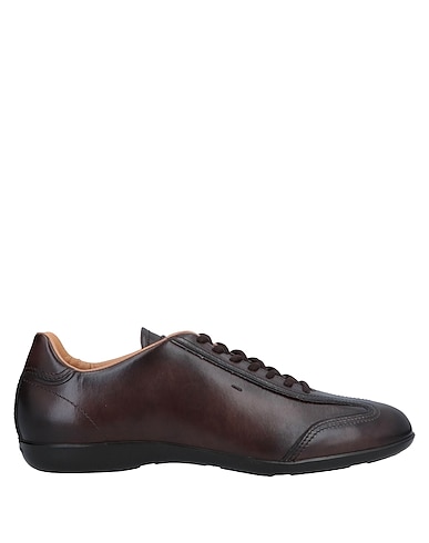 SANTONI Sneakers Testa di moro Pelle