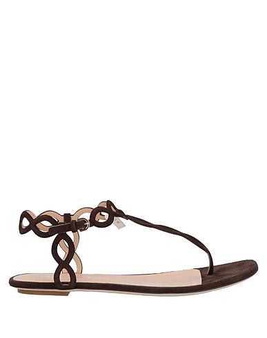 SERGIO ROSSI Flip flops Dark brown Leather