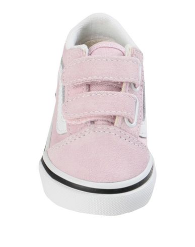 VANS photo