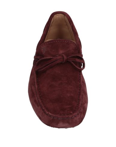 Tod's Loafers In Maroon