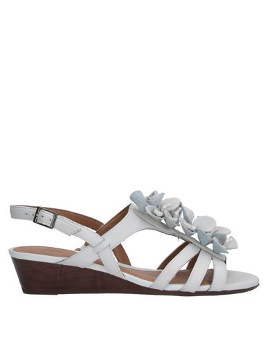 white clark sandals