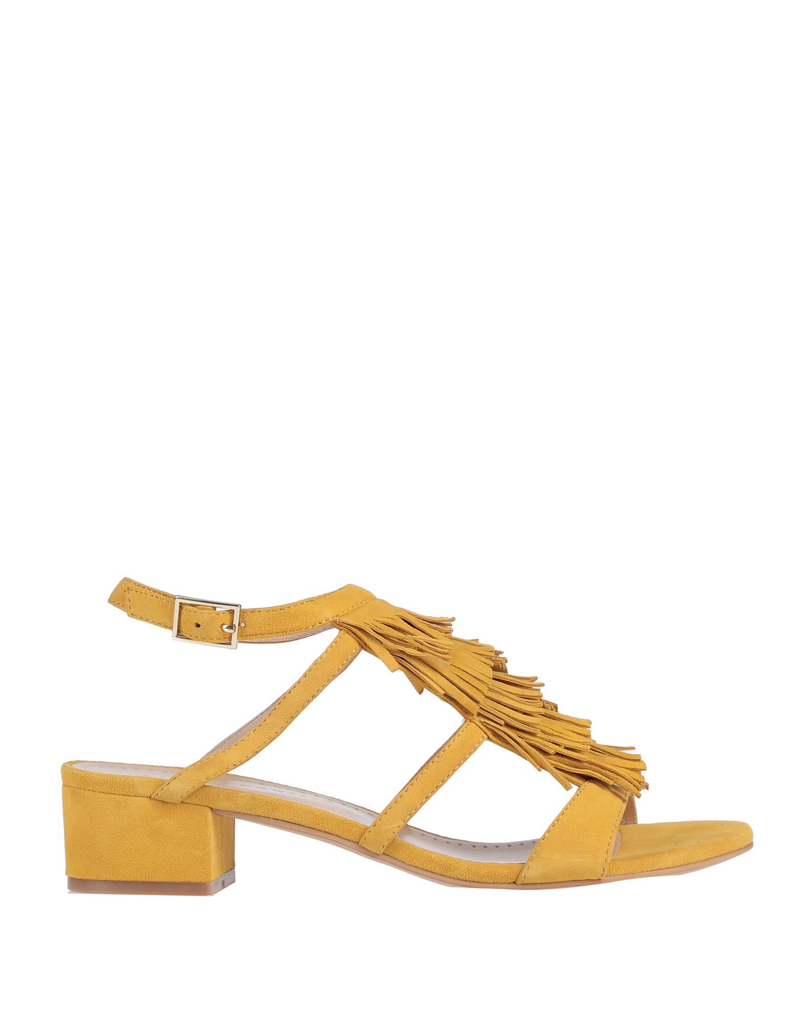 jef chaussures bruno premi