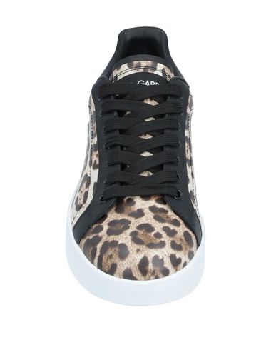Dolce & Gabbana Sneakers In Beige