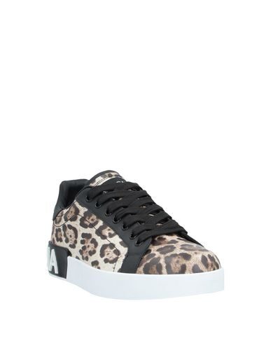 Dolce & Gabbana Sneakers In Beige