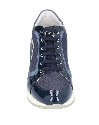Alberto Guardiani Sneakers In Blue