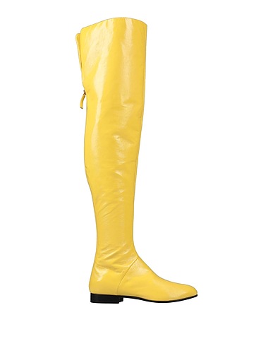 ZOOM ALBERTA FERRETTI - Boots