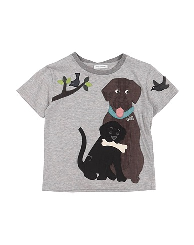 DOLCE&GABBANA T-shirt Light grey 100% Cotton