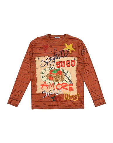 DOLCE&GABBANA T-shirt Brown 100% Cotton