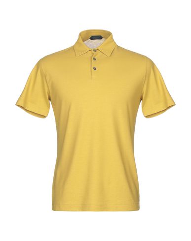 Zanone Polo Shirt In Ocher