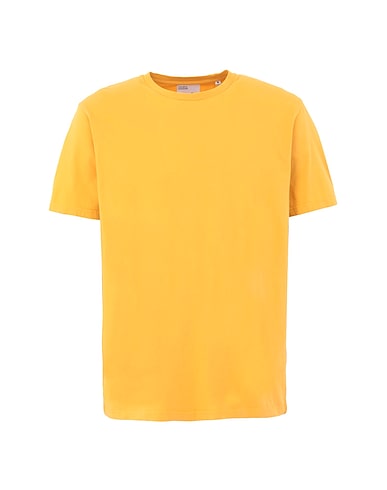 COLORFUL STANDARD