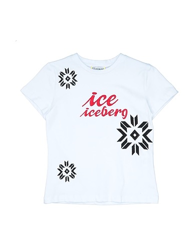 ICE ICEBERG