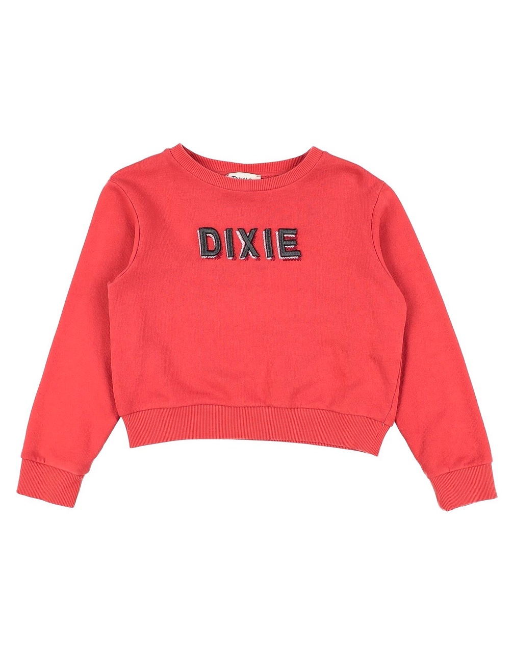 DIXIE - Sweatshirts