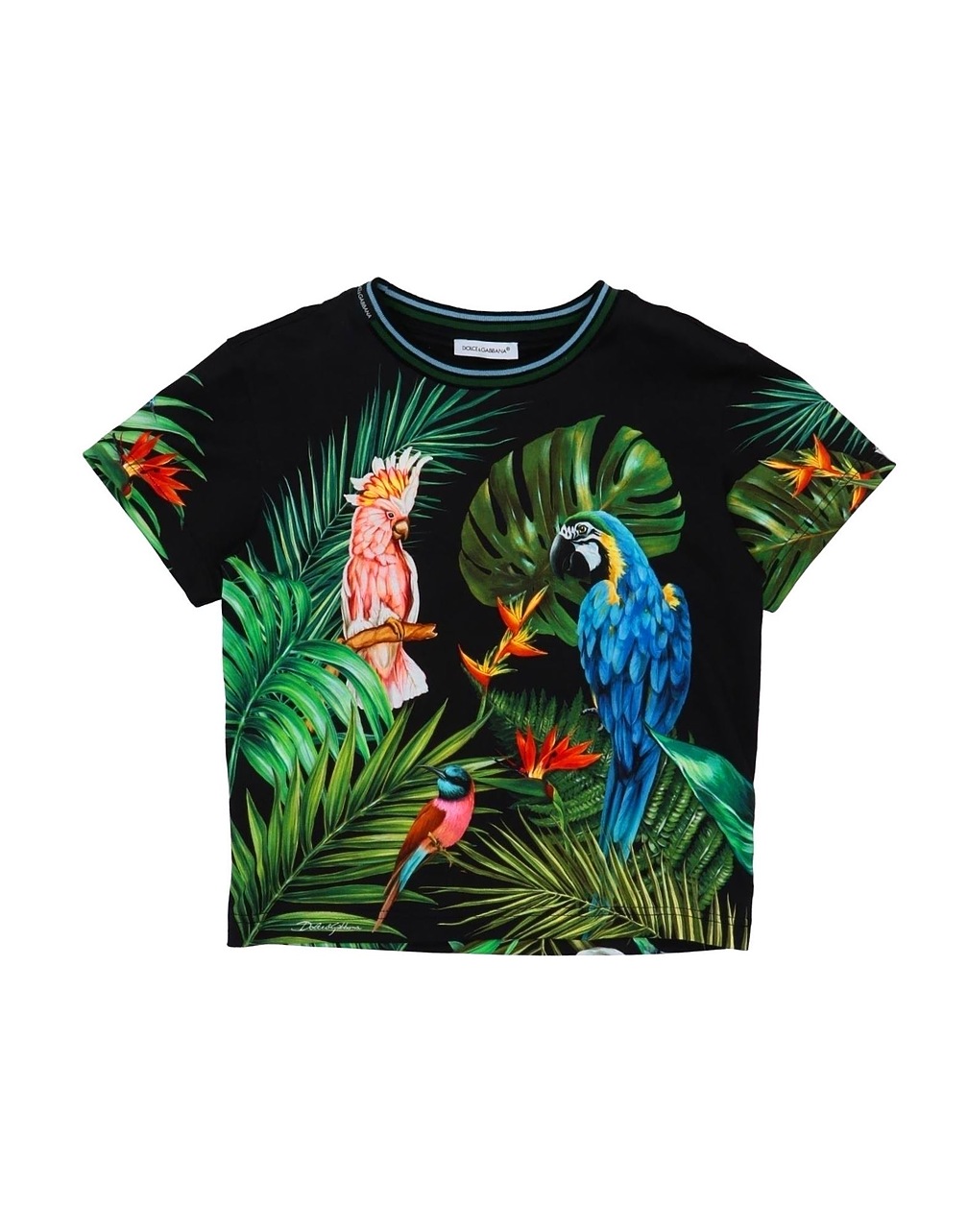 DOLCE&GABBANA - T-shirts